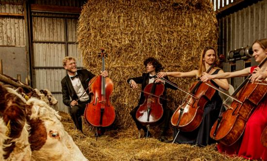 Where Music Grows Wins Audience Award at Krakow Film Festival